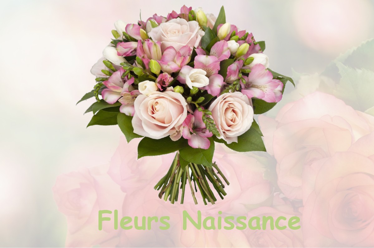 fleurs naissance LE-VANNEAU-IRLEAU
