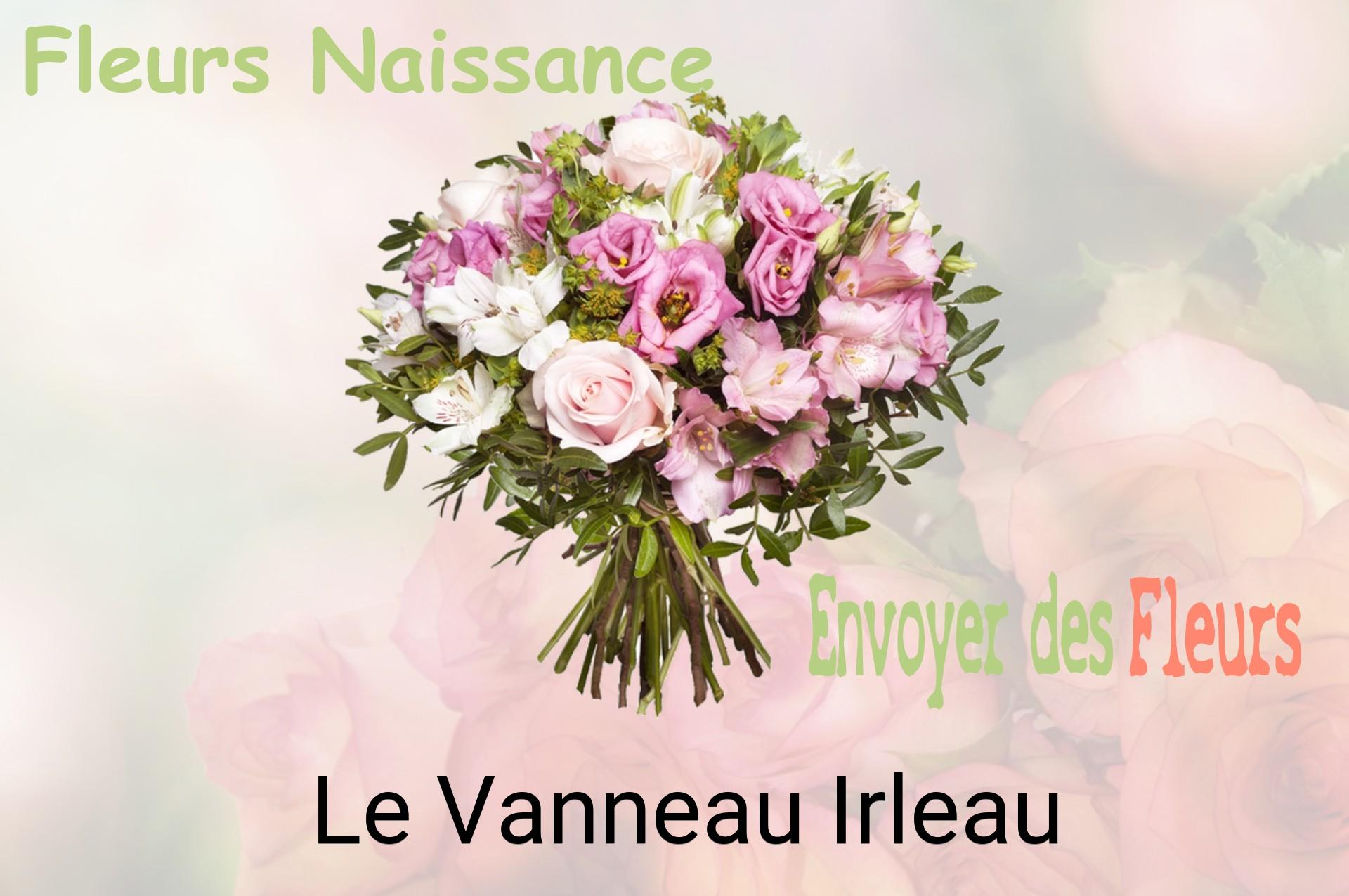 Bouquet de fleurs de naissance livré à Le Vanneau-Irleau