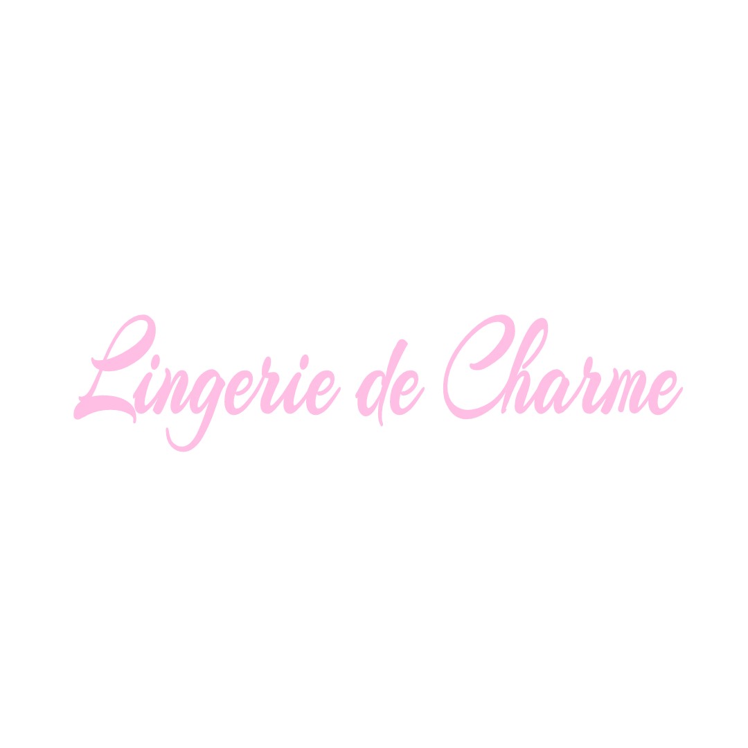 LINGERIE DE CHARME LE-VANNEAU-IRLEAU